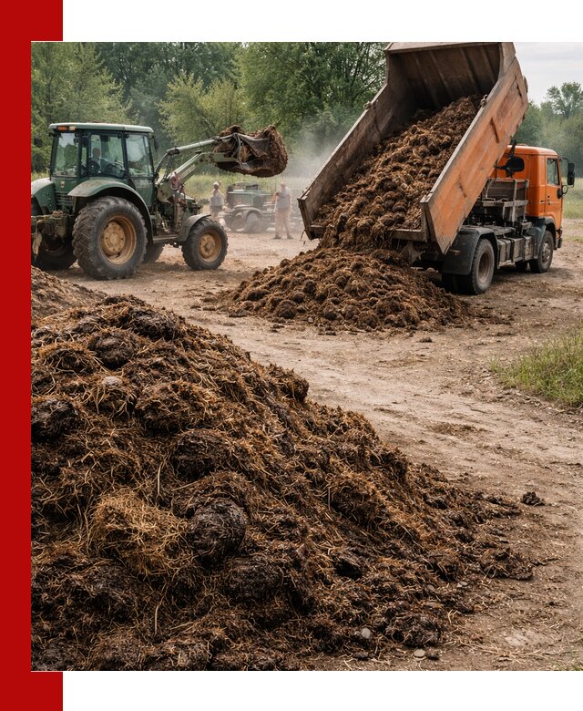 Доставка навоза самосвалами в Саянске для сельхозпотребностей