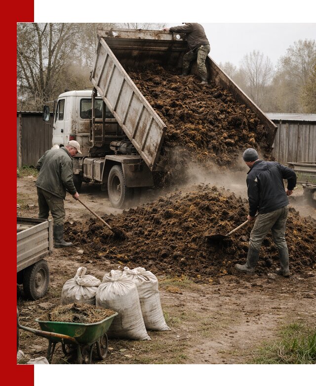 Доставка коровьего навоза самосвалом в Саянске